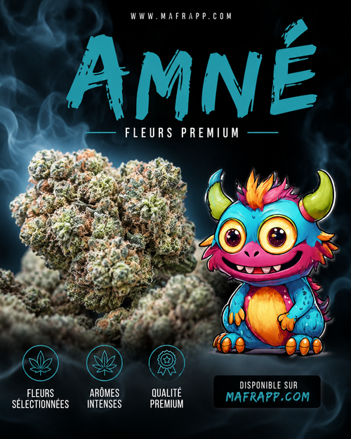 Amné CALIFORNIAN KUSH DC ( FLEURS )